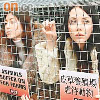 愛護動物人士扮出小動物被囚待殺的絕望神情。