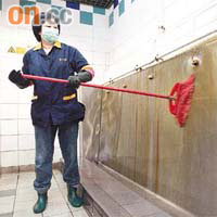 由於較難招聘男性清潔工，故此男廁的清潔工作也要由女工擔任。