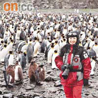 逾萬隻企鵝團團包圍住葛珮帆。	相片由被訪者提供
