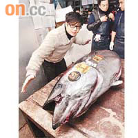 鄭威濤近年屢次在日本以高價投得藍鰭吞拿魚王，人氣急升。	