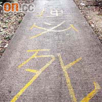屯門散石灣新村二期的政府道路地上，被人寫上「白撞必死」的恐嚇字眼。 周景文攝