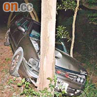 失事私家車撞向大樹損毀。