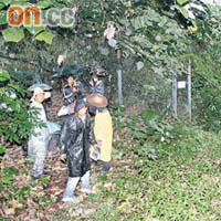 地政總署昨派員到大圍白田村二區清拆政府土地上僭建的鐵絲網。