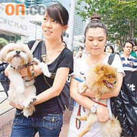 近二十名市民昨攜同寵物遊行至警察總部，要求設立「動物警察」。