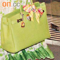 綠色嘅Herm<img src='/font/8f73_5nbk.gif' border='0' /> Birkin Bag