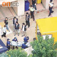 2007/10<br>天水圍一名精神病婦人將子女掟落街。