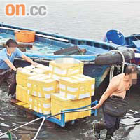 每日不少內地漁船到流浮山出售海鮮。