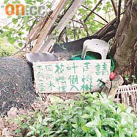 非法開墾的花槽旁放有告示，提醒清潔工人不要搞坡壞。