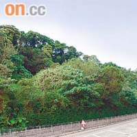 香港仔郊野公園<br>南風道林地是港島唯一現存的風水林。