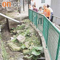 薄扶林村的寮屋區只有一個廁所，令村民曾亂駁排污渠至村旁小溪。(資料圖片)
