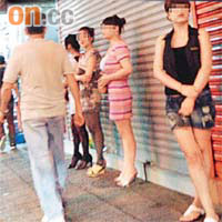 油麻地街頭近日出現「街頭金魚缸」，妓女站成一列，任由嫖客挑選。