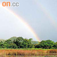 米埔自然保護區上空前日下午乍現雙彩虹的天文奇景。	相片由施百納提供