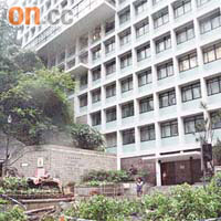 塌樹現場位處政府合署對開，平日路人如鯽。
