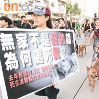 約六百名愛護動物人士日前遊行，不滿漁護署在流浪動物四日無人認領，便人道毀滅，做法殘忍。 資料圖片