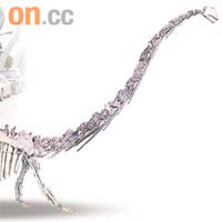 「楊氏馬門溪龍」骨架化石下周將在本港展出。