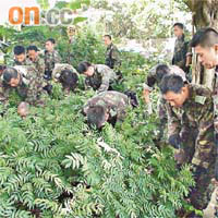快速應變部隊警員在草叢搜尋彈頭。