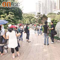南蓮園池有不少珍貴樹木，吸引遊客入園觀賞。