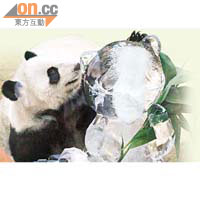 盈盈對大熊貓冰雕感到好奇，不停爬上去看清楚與自己長得像不像。