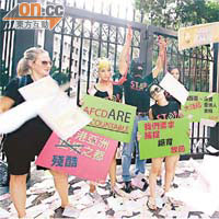 請願人士由遮打花園遊行到政府總部示威。