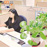 Calpurnia於辦公室內擺放盆栽綠化環境。