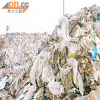 全港廢紙回收商正醞釀罷市半個月，隨時令香港變成臭港。 吳君豪攝