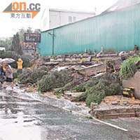 大棠山道一個工場的圍牆和花槽在大雨中倒塌。