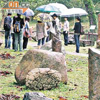 岩石學園是本港首個大型岩石標本的戶外展覽場地。