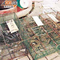 深圳一間酒樓有各類蛇出售，售價由每斤五十八元至二百多元不等。