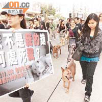 愛狗之人曾上街抗議漁護署人道毀滅流浪狗。	資料圖片 