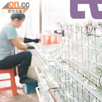 回收商為保護香港環境聘用工人，每日以人手清洗玻璃樽，再將玻璃樽送往外國。	吳君豪攝