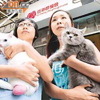 陳靈怡（右）表示，會繼續收留及安排領養流浪貓的工作；左為吳斯翹及貓咪「藍藍」。