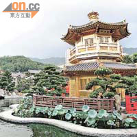 志蓮淨苑管理南蓮園池旨在弘揚園林文化。