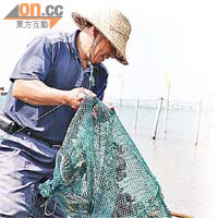 江蘇省是出產大閘蟹的主要地區。	資料圖片