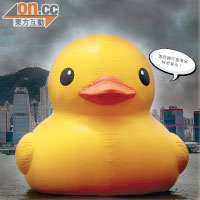 SUN搞作：香港收Duck皮