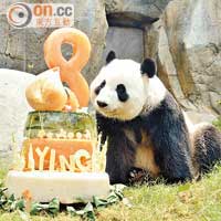 熊貓生日派對