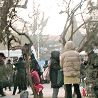 京城逾百人抬病人上訪