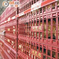 H7N9殺入香港過年無活雞