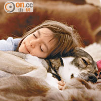 醫知健：與寵物同床損睡眠質素
