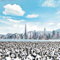 阿保一族：環保速遞：1600熊貓「遊」港 宣揚保育訊息