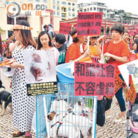 近千人遊行促立法保護動物