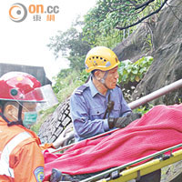 山邊摘龍眼中年漢墮地