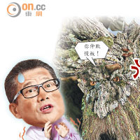 政壇：訂樹木法 陳茂波龜縮