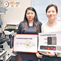 醫知健：新螢光探針 追蹤癌細胞