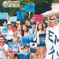 團體抗議促海洋公園停鯨豚表演