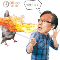 政壇：搞搞政：黃成智發火反擊 數臭白鴿四宗罪
