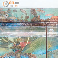 醫知健：流浮山食大石斑 兩市民中雪卡毒