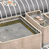 太和廣場：領匯物業積水易生蚊患