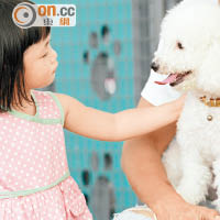 醫知健：家中養狗  減兒童哮喘風險