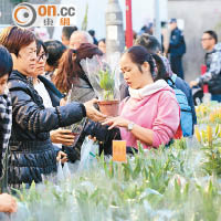 花墟見證開埠變遷