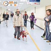醫知健：導盲犬帶路 求診無障礙
